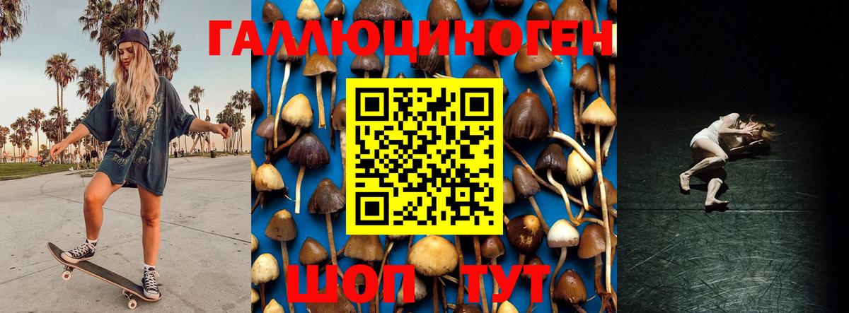 Псилоцибиновые грибы ЛСД Киселёвск