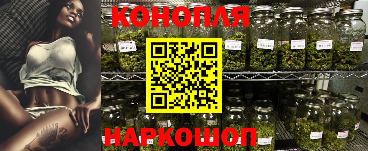 Бошки Шишки тримм Киселёвск